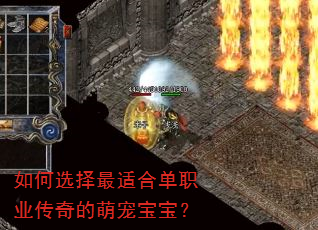 ���ѡ�����ʺϵ�ְҵ������ȳ豦����
