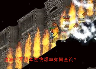 遗忘神器版本怪物爆率如何查询? 遗忘神器版本怪物爆率如何查询?
