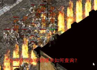 遗忘神器版本怪物爆率如何查询? 遗忘神器版本怪物爆率如何查询?
