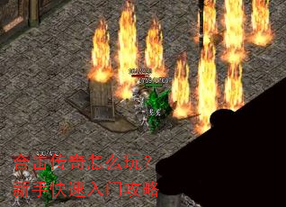 �ϻ�������ô�棿���ֿ������Ź���