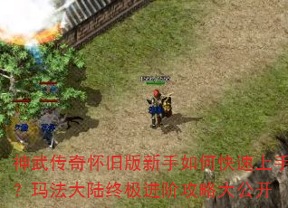 ���䴫�滳�ɰ�������ο������֣��귨��½�ռ����׹��Դ󹫿�