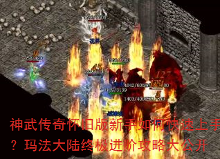 ���䴫�滳�ɰ�������ο������֣��귨��½�ռ����׹��Դ󹫿�