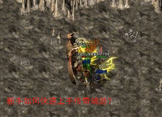 新手如何快速上手传奇端游? 新手如何快速上手传奇端游?