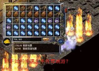 新手如何快速上手传奇端游? 新手如何快速上手传奇端游?