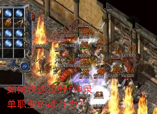��ο�������f��¼��ְҵ��ս������