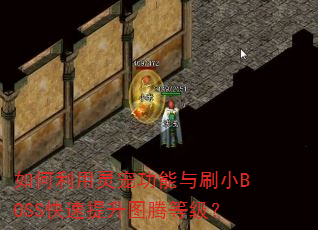 如何利用灵宠功能与刷小BOSS快速提升图腾等级? 如何利用灵宠功能与刷小BOSS快速提升图腾等级?