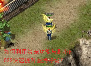 如何利用灵宠功能与刷小BOSS快速提升图腾等级? 如何利用灵宠功能与刷小BOSS快速提升图腾等级?