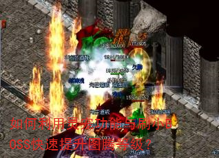 ���������蹦����ˢСBOSS��������ͼ�ڵȼ���