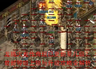 ���ڻ����������Ѹ��������������µȼ���������������ȫ����