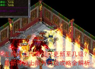 ���ڻ����������Ѹ��������������µȼ���������������ȫ����