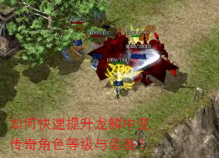 如何快速提升龙鳞中变传奇角色等级与装备? 如何快速提升龙鳞中变传奇角色等级与装备?