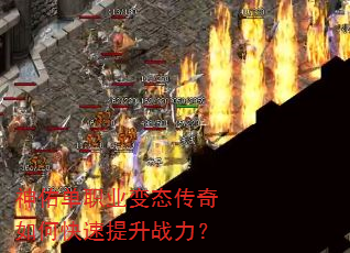 ���ӵ�ְҵ��̬������ο�������ս����