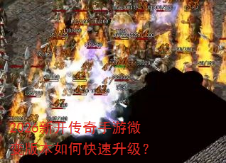2026�¿���������΢��汾��ο���������