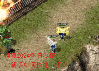 ���2024���ɴ��棺������ο������֣�