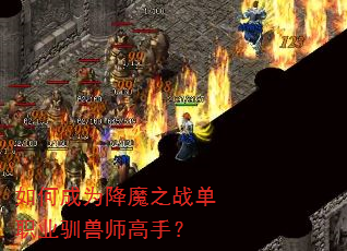 如何成为降魔之战单职业驯兽师高手? 如何成为降魔之战单职业驯兽师高手?