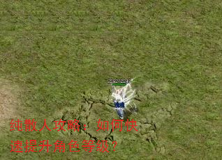 纯散人攻略:如何快速提升角色等级? 纯散人攻略:如何快速提升角色等级?