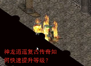 ������ң���Ŵ�����ο��������ȼ���