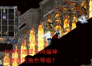 如何快速提升鸿福神器新战区角色等级? 如何快速提升鸿福神器新战区角色等级?