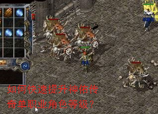 如何快速提升神佑传奇单职业角色等级? 如何快速提升神佑传奇单职业角色等级?