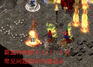 ��Ѫ�����������ţ�ʮ�󳣼��������������