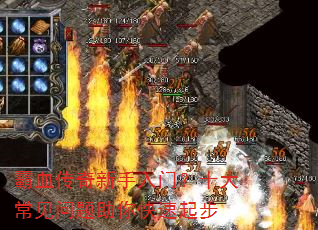��Ѫ�����������ţ�ʮ�󳣼��������������