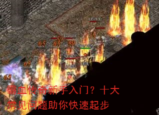 ��Ѫ�����������ţ�ʮ�󳣼��������������