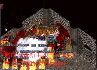 ��Ѫ�����������ţ�ʮ�󳣼��������������