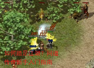 ���̤�㽭�����ʵ�������������ָ��
