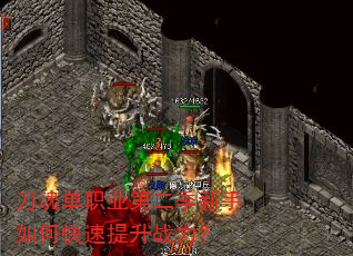 ���굥ְҵ�ڶ���������ο�������ս����