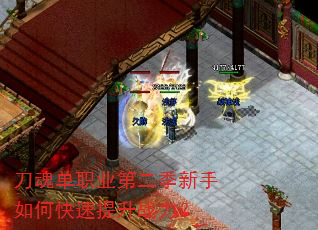 ���굥ְҵ�ڶ���������ο�������ս����