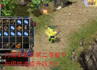 ���굥ְҵ�ڶ���������ο�������ս����