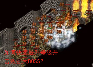 ��ο��������ȼ�������ǿ��BOSS��