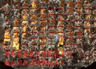 ����˽���¿���ְҵ�ֻ�����ο�������ս����