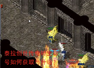 泰拉创世传奇转生称号如何获取与升级? 泰拉创世传奇转生称号如何获取与升级?