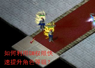 �������GMȨ�޿���������ɫ�ȼ���