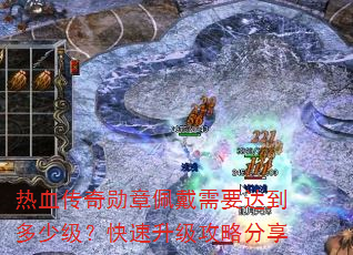 ��Ѫ����ѫ�������Ҫ�ﵽ���ټ��������������Է���