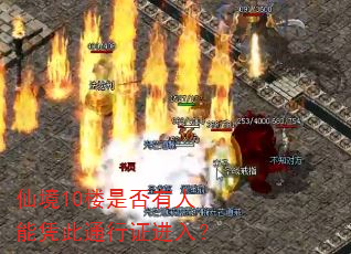仙境10楼是否有人能凭此通行证进入? 仙境10楼是否有人能凭此通行证进入?