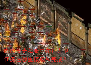 �ུ���˽���вΰ����������������ȡ����ɣ�