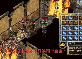 传奇永恒道士能否召唤两个宝宝? 传奇永恒道士能否召唤两个宝宝?
