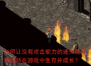 �����û�й�����������ʧ�洫�淨ʦ����Ϸ�����沢�ɳ���