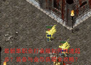 最新单职业打金服如何快速起步?装备与金币获取全攻略? 最新单职业打金服如何快速起步?装备与金币获取全攻略?