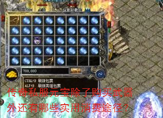 传奇私服元宝除了购买武器外还有哪些实用消费途径? 传奇私服元宝除了购买武器外还有哪些实用消费途径?