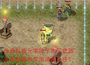 传奇私服元宝除了购买武器外还有哪些实用消费途径? 传奇私服元宝除了购买武器外还有哪些实用消费途径?