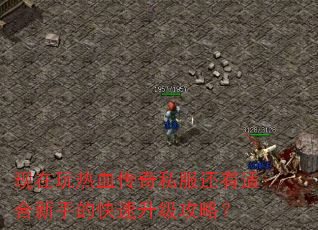 现在玩热血传奇私服还有适合新手的快速升级攻略? 现在玩热血传奇私服还有适合新手的快速升级攻略?