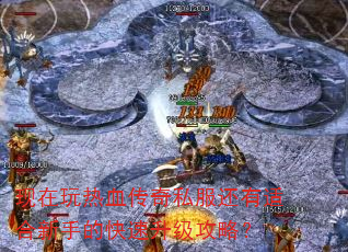 现在玩热血传奇私服还有适合新手的快速升级攻略? 现在玩热血传奇私服还有适合新手的快速升级攻略?