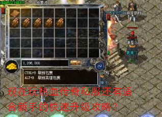 现在玩热血传奇私服还有适合新手的快速升级攻略? 现在玩热血传奇私服还有适合新手的快速升级攻略?