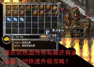 现在玩热血传奇私服还有适合新手的快速升级攻略? 现在玩热血传奇私服还有适合新手的快速升级攻略?
