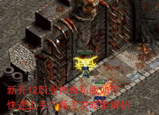 �¿�12ְҵ����˽����ο������֣����ֹ���ȫ����