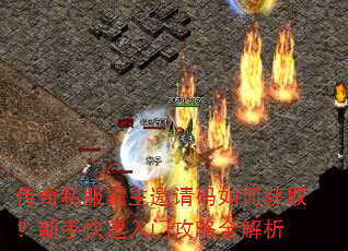 ����˽��������������λ�ȡ�����ֿ������Ź���ȫ����