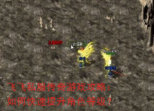 飞飞私服传奇游戏攻略:如何快速提升角色等级? 飞飞私服传奇游戏攻略:如何快速提升角色等级?